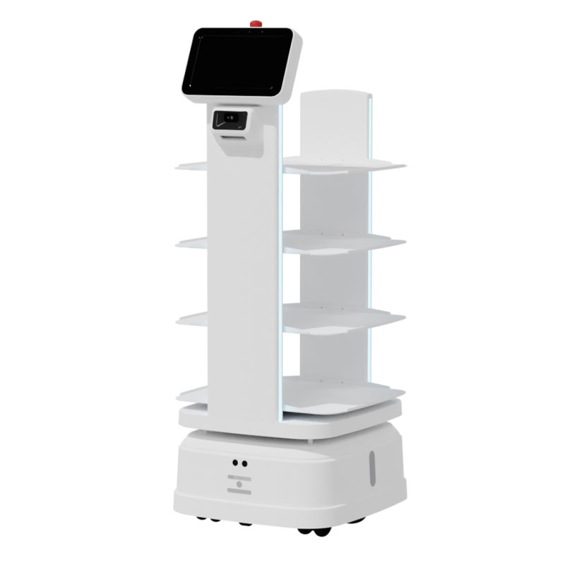 Robot giao hàng công nghiệp AX – 6112 (D80)
