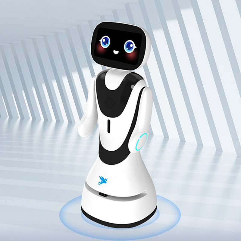 Robot tiếp tân AI Timo