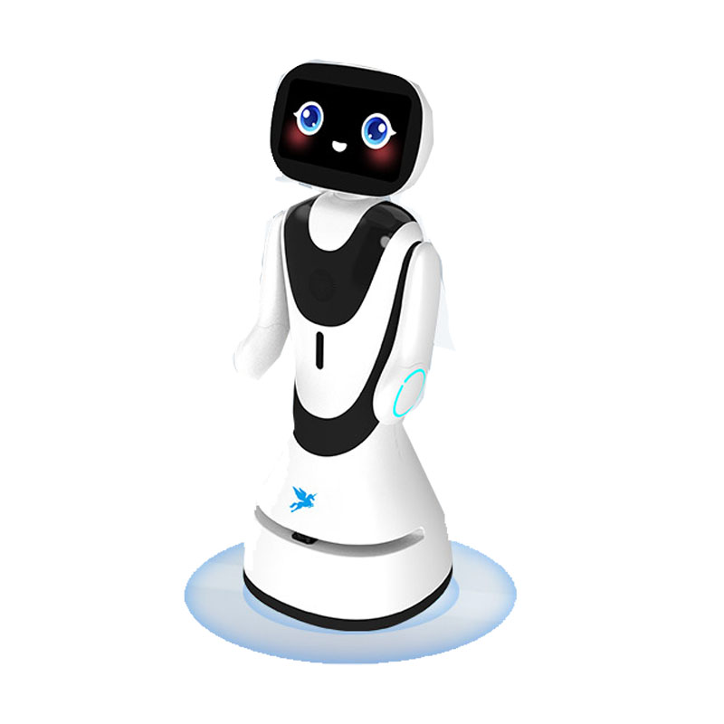 Robot tiếp tân AI Timo